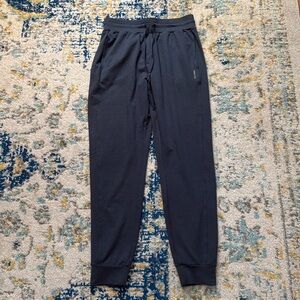 Fabletics joggers